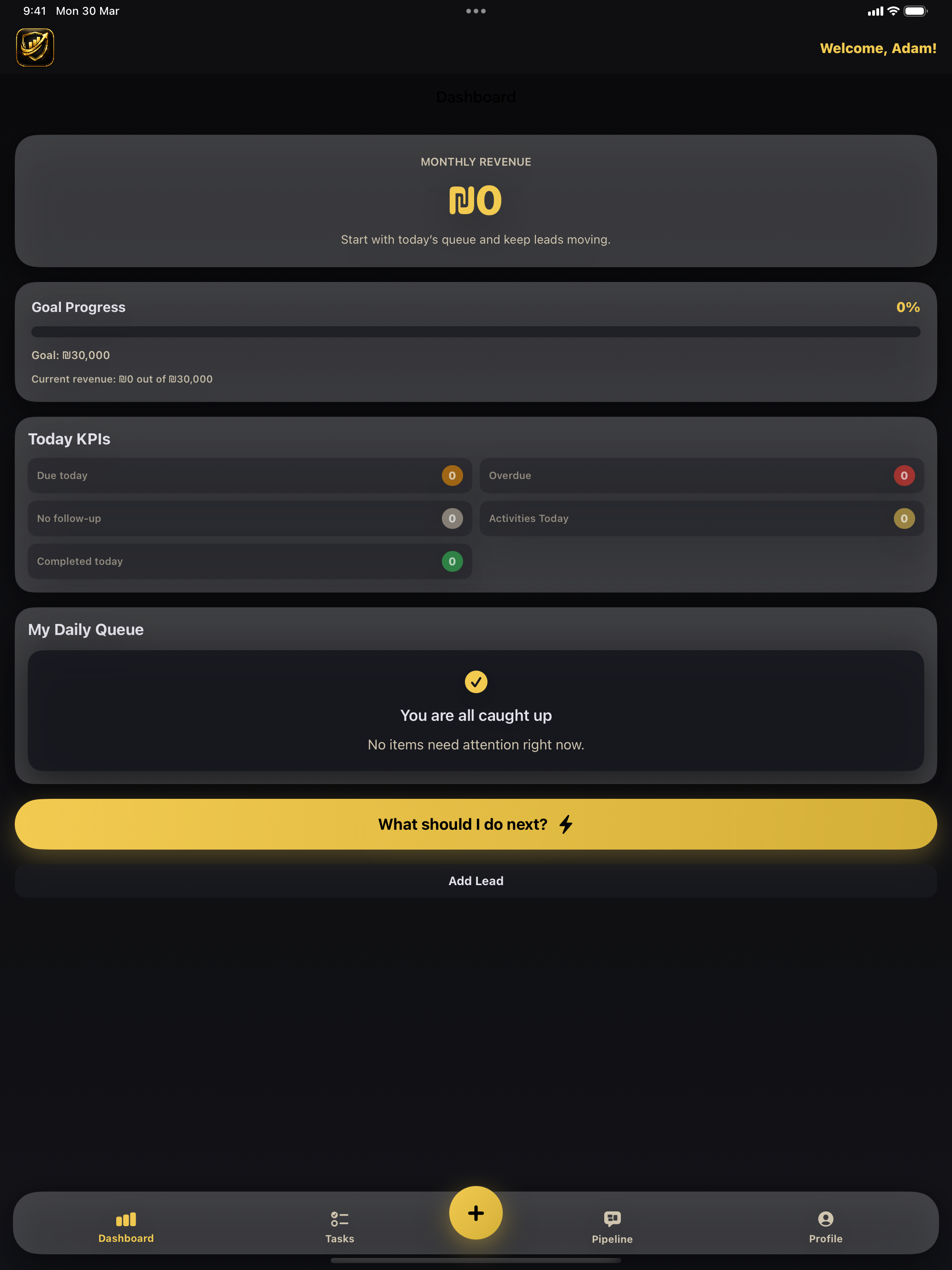 iPad dashboard view in English